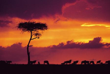 kenia-paisajes.jpg